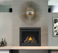 Napoleon Ascent Deep 42 Direct Vent Propane Gas Fireplace D42PTRE