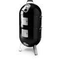 Napoleon Grills AS200K-2 Apollo 200 Charcoal Grill 3 in 1 Smoker and Grill