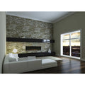 Dimplex IgniteXL® 50